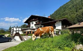 Hinterwald 8